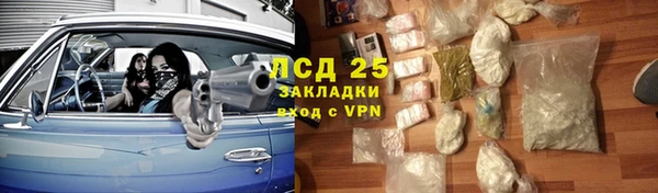 прущие грибы Карпинск