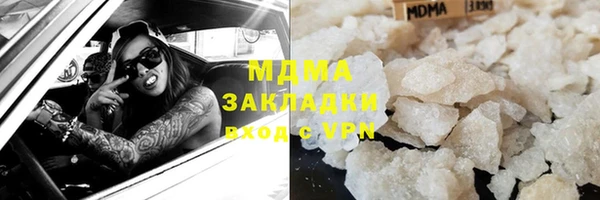 прущие грибы Карпинск