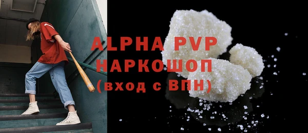 прущие грибы Карпинск