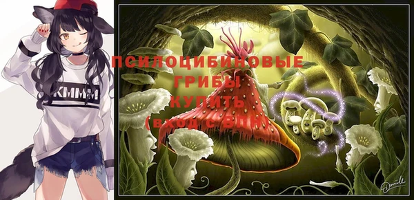прущие грибы Карпинск