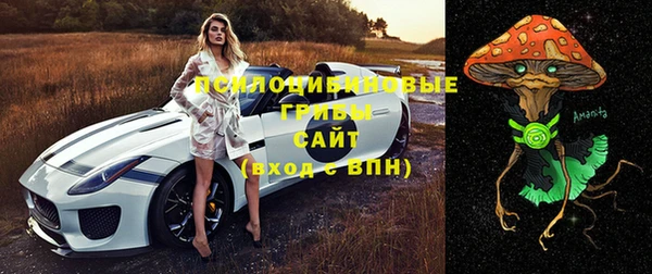 прущая мука Киренск