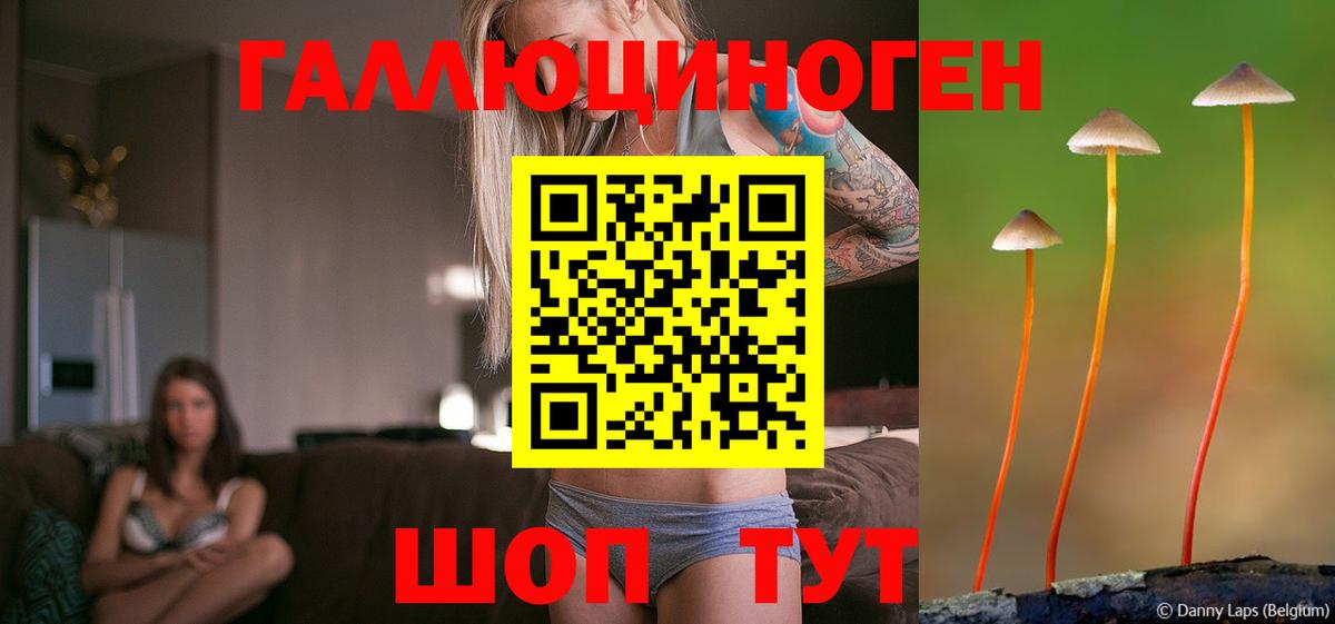 Ленинск-Кузнецкий  Псилоцибиновые грибы MAGIC MUSHROOMS  Вход с VPN  Галлюциногенные грибы MAGIC MUSHROOMS 
